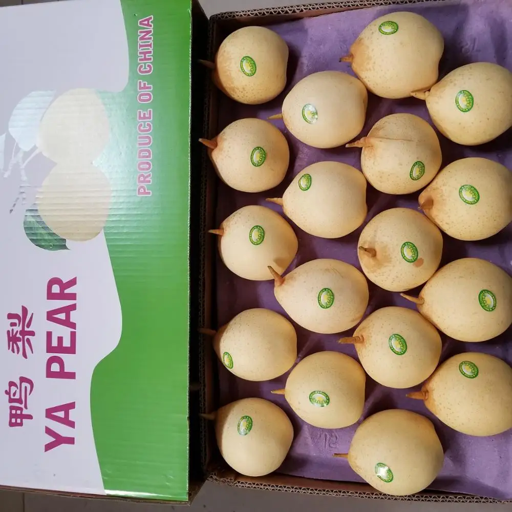 Свежая груша Корона груша упаковка в 10 кг/коробка оптовик