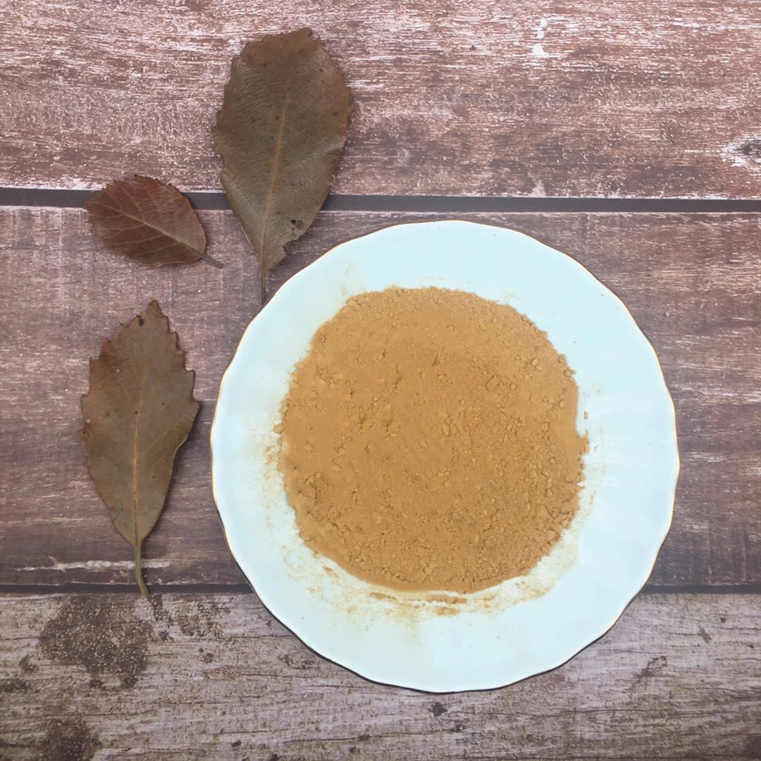 6 in 1 Powerful Mushroom Extract Powder 30% Beta Glucan  - Lions Mane, Reishi, Cordyceps, Chaga, Turkey Tail, Maitake