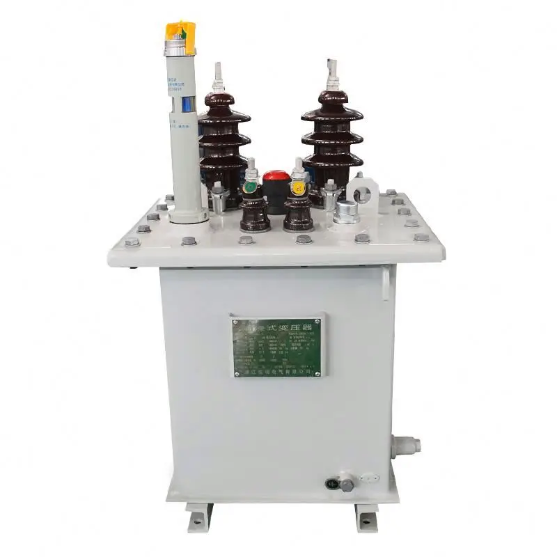 
SNTOOM D9-5KVA 11KV/0.24KV Single Phase Oil Immersed Power Transformer 11KV 5KVA Distribution Transformer Oil 
