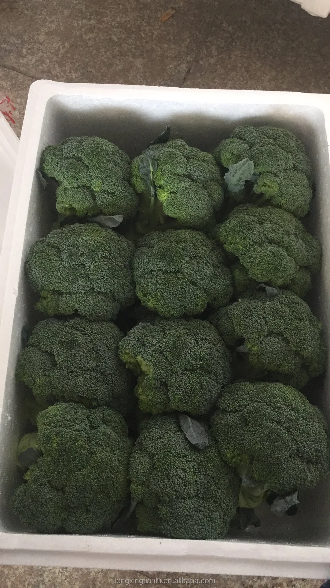 
Broccoli Green With Lower Price Direct sale In large quantities 