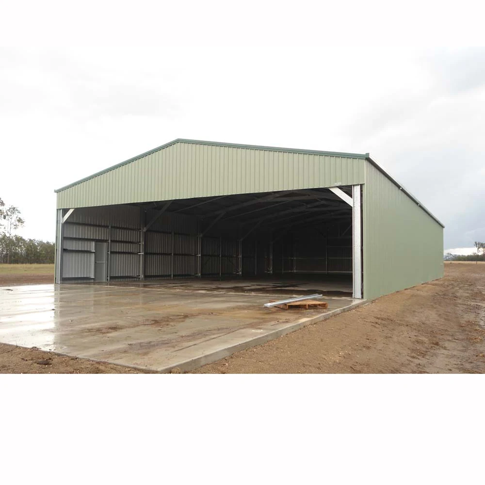 Новый дизайн, промышленная легкая стальная рама, цех, фабричное здание, сборный склад