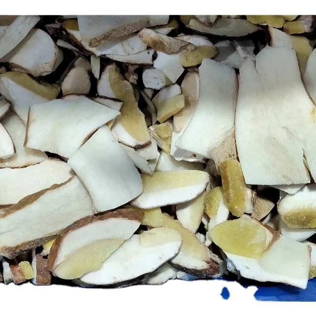 Frozen fresh boletus mushroom sliced porcini  wild mushroom fungus natural  Boletus Edulis