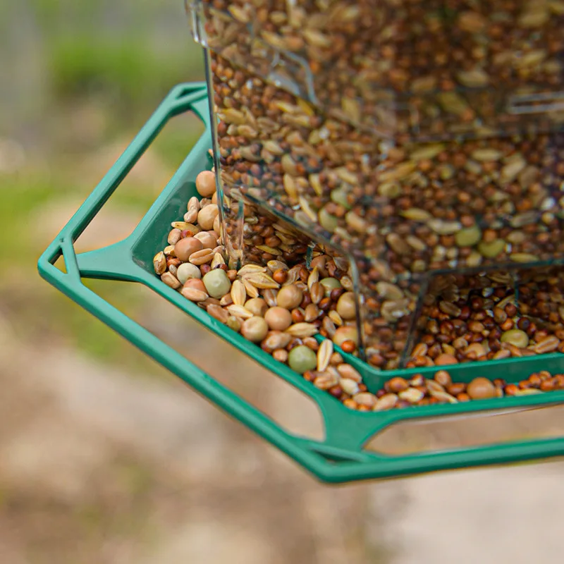 Bird Feeders for Outside Bird Feeder with a Latch Feature