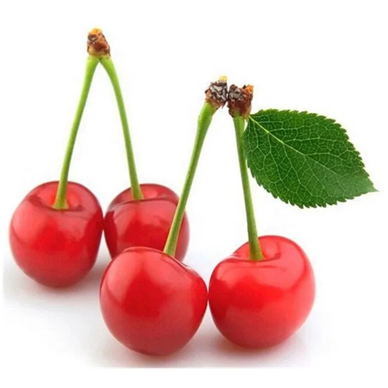 Bulk Package Pitted Product Exported Frozen Fruit IQF Sour Cherry