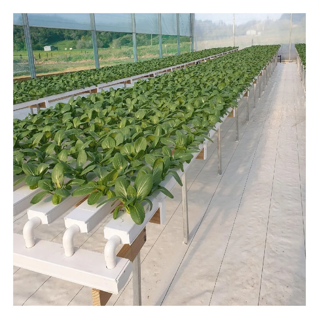 Hot sale pvc channel hydroponic nft gully growing systems for vegetables