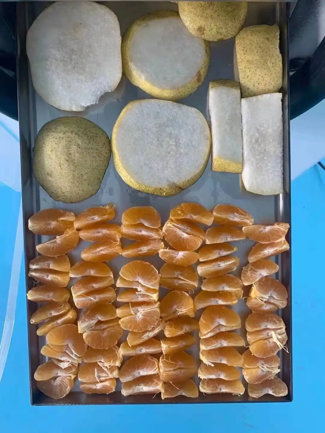 2021 Industrial Food Freeze Dryer Machine from China Manufacturer Home Small Mini Vacuum Freeze Dryers Lyophilizer for Sale