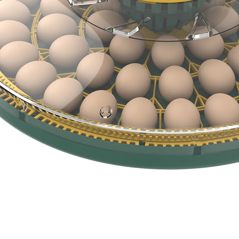 Wonegg Mini Dual Power Eggs Chicken Broiler Pigeon Egg Incubator Automatic Brooder Incubator For Poultry