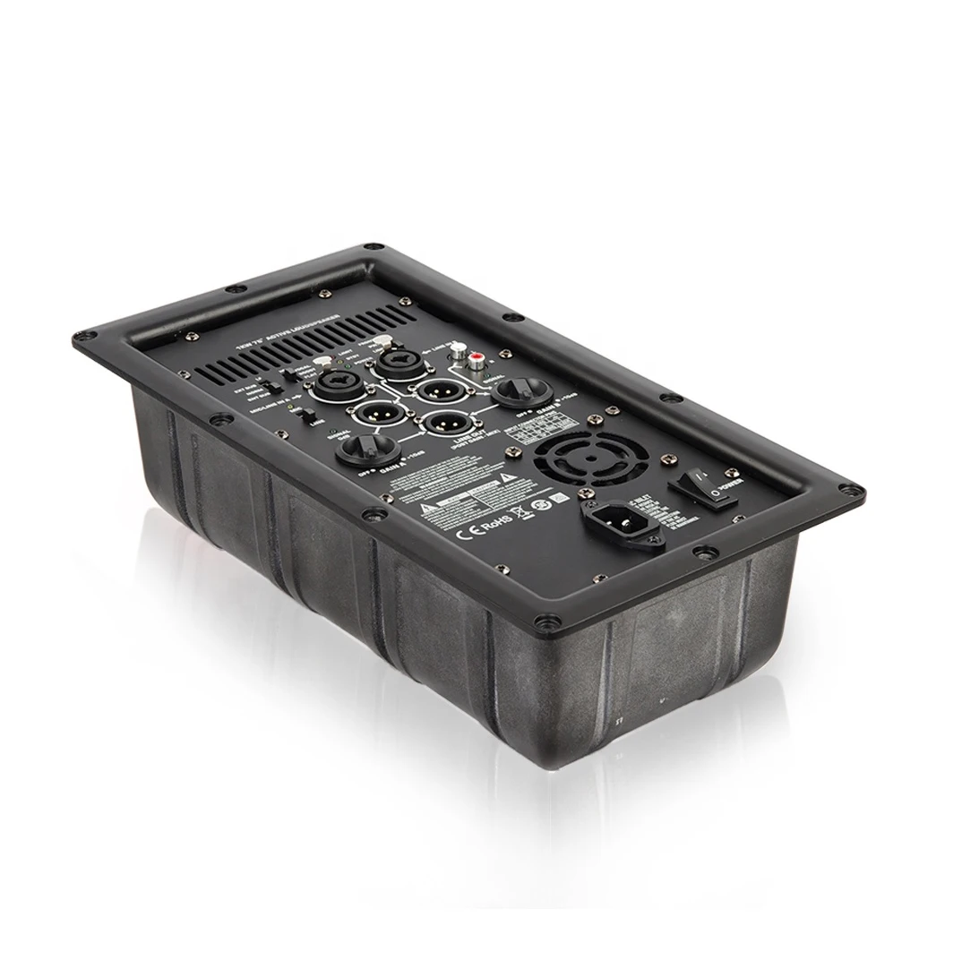 Professional Power Module 1000-watt Continuous Class D Power Amplifier For Speaker