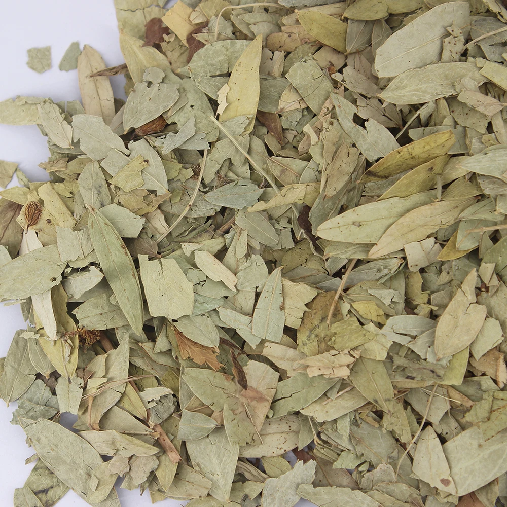 Wholesale Price High Quality Dry Senna Leaf  Stimulant Laxatives Dried Cassia Senna Leaves Senna Tea