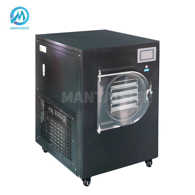Multi function automatic food vacuum freeze dryer lyophilizer for home use