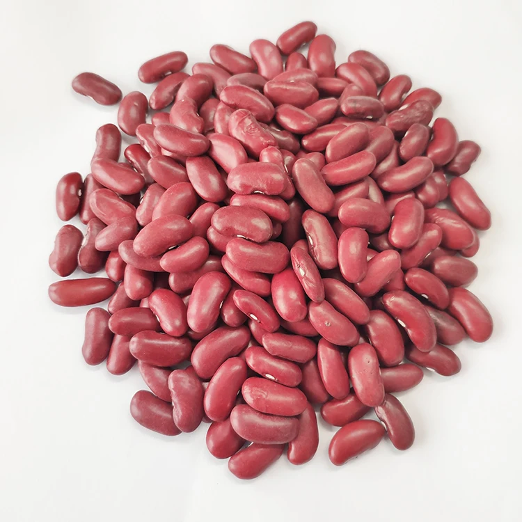 Wholesale Nwe crop shanxi origin Dark red kidney beans