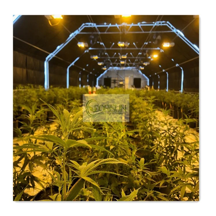 Низкая стоимость полностью автоматизированный плотные система плотные парниковый свет лишения парниковый свет dep теплицы