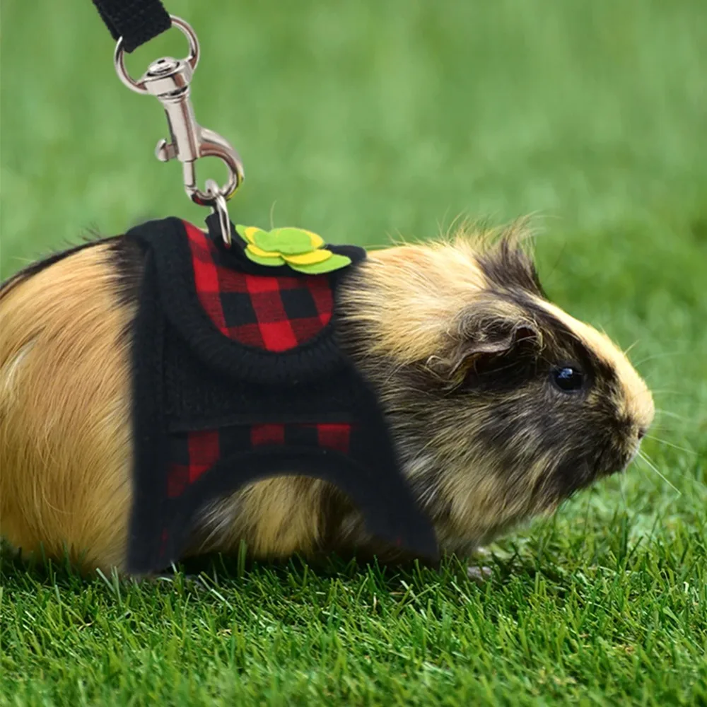 Adjustable Guinea Pig Harness Leash Set Outdoor Traction Rope for Hamster Chinchilla Mice Rat Ferret Rabbit Animal Accessories