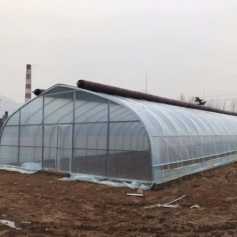 Высокое качество низкая цена сельскохозяйственная теплица туннельная пленка теплица
