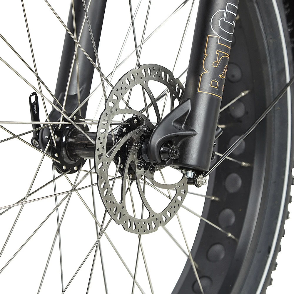 good quality snow bike electric with 750w 52v Ebike mountain 6061 alloy aluminum frame fat tire ebike