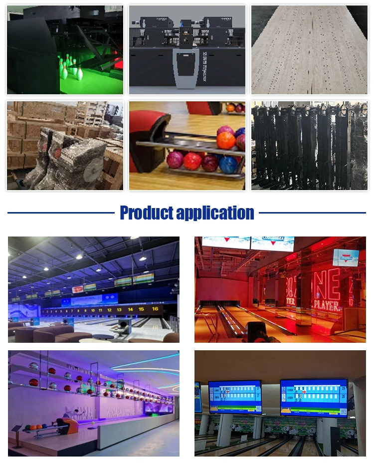 Hot Selling High Quality Bowling Set For Adults Bowling Accessories Ball And Bag Indoor Bowling Party Game
