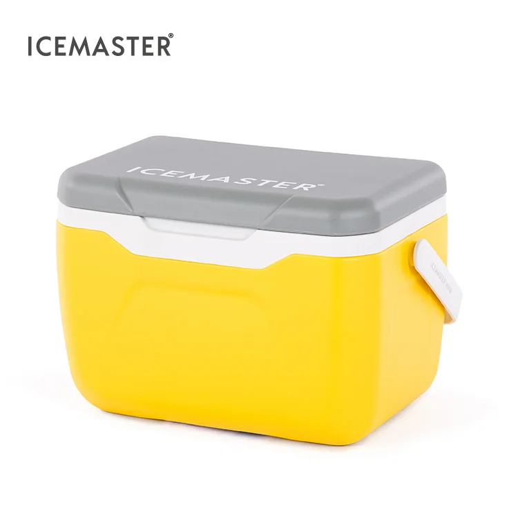 Лидер продаж рекламная кулер IceMaster высшего качества на заказ для морозильной камеры