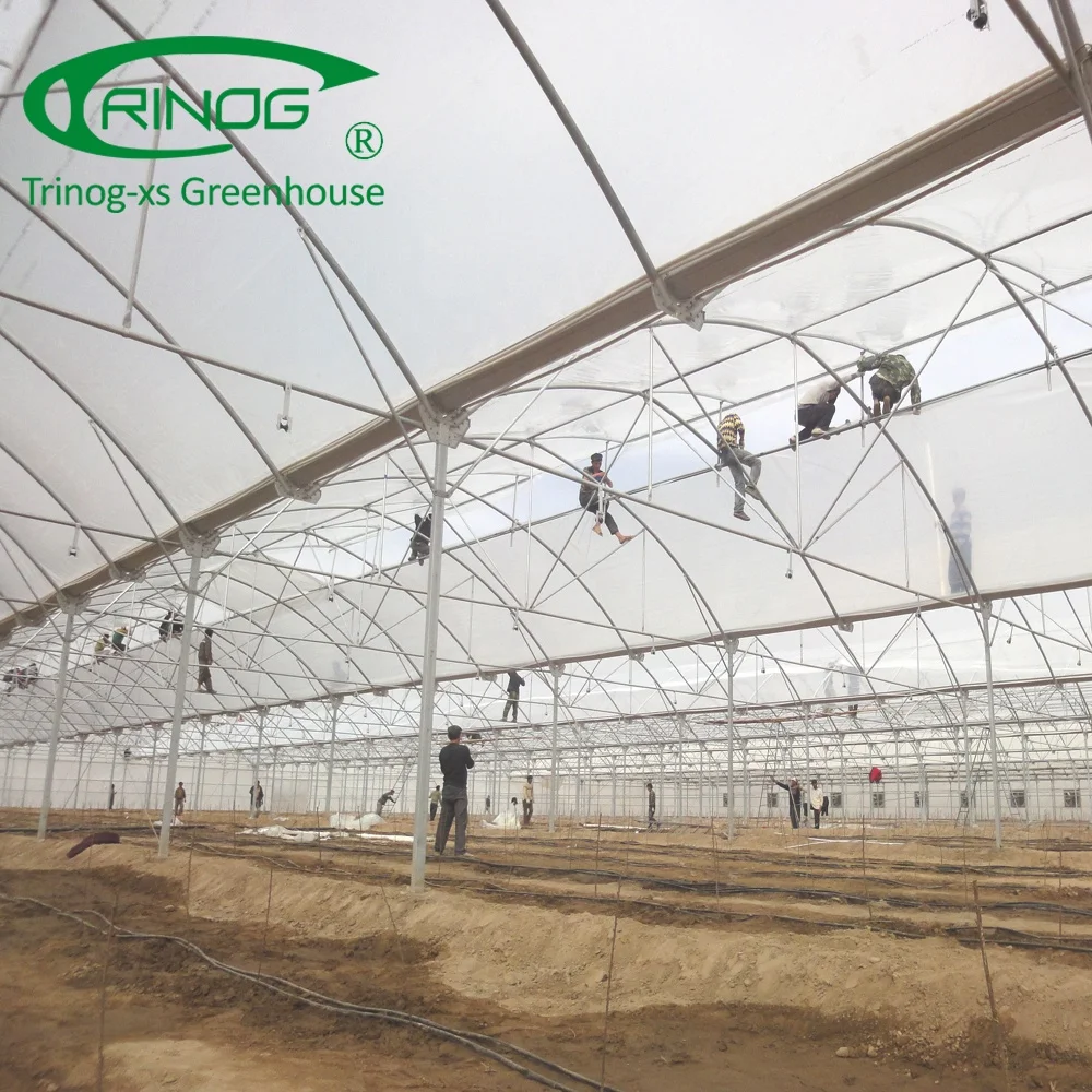 Agricultural A frame vertical lettuce hydroponics greenhouse with fertilizer