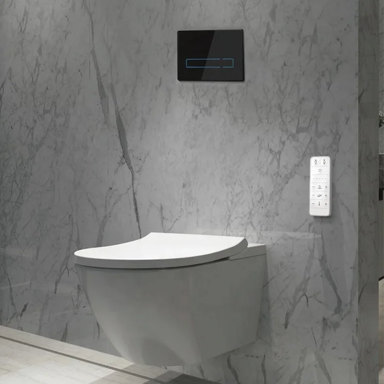 Modern Bathroom Toilet Flush Cistern Ceramic Toilet Dual Flushing Cistern