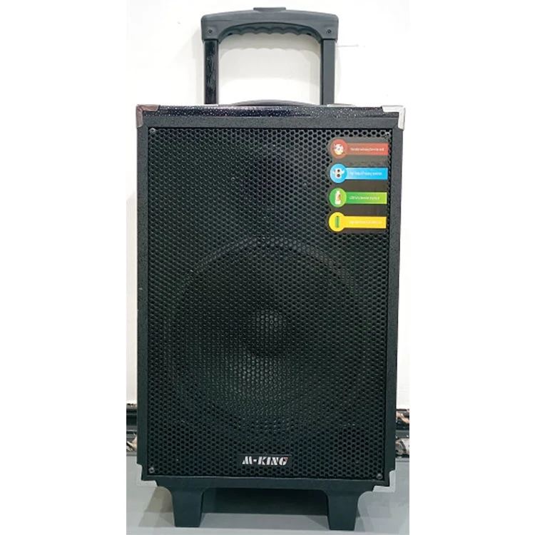 2023 Innovative Products ODM OEM 10 Inch Speaker Big Speaker System Wholesale Audio System Sound