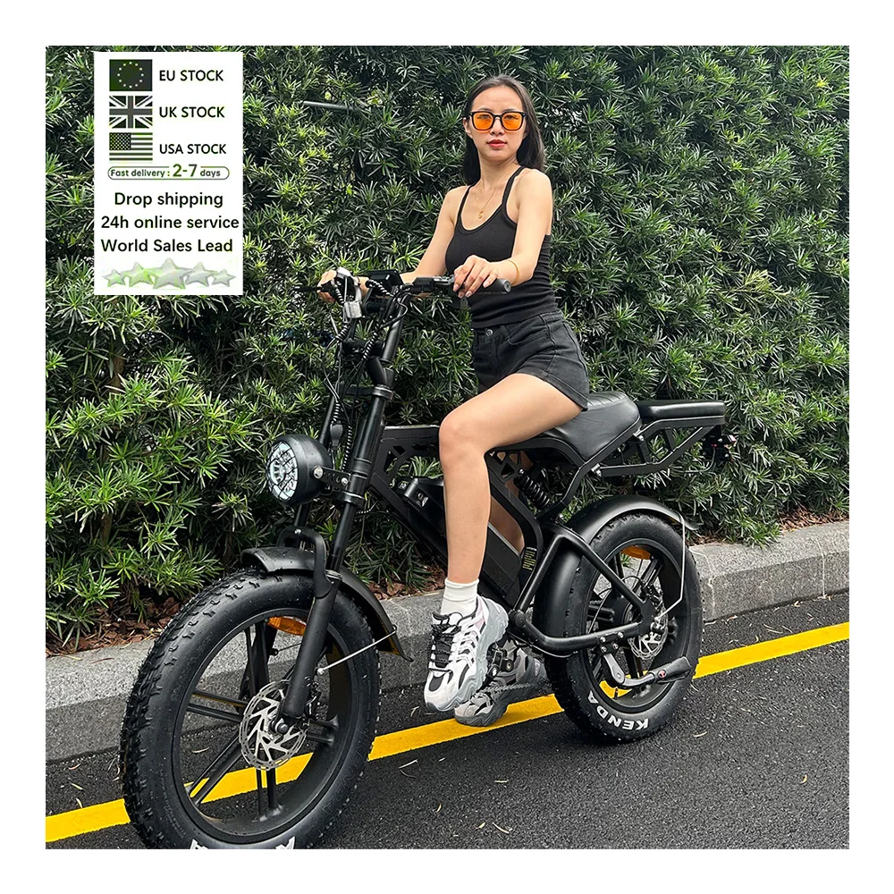 V20 Pro Электрический fatbike 2-местный Электронный велосипед электрический