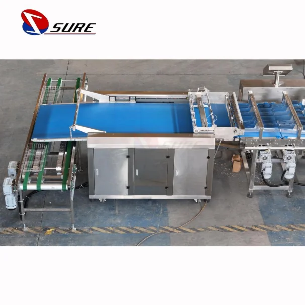 Biscuit Cookies Feeding and Packaging Line Automatic Feeding and Packing Line Automatic Production Line for Cake Packing Machine