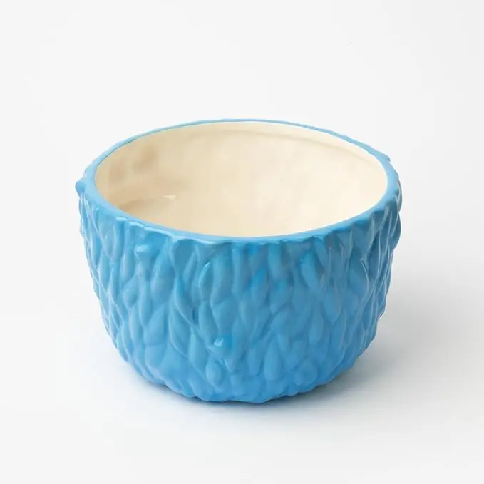Blue Ramen Bowl 1100 ml Cereal Bowl Popcorn Bowl Kitchen Decor Cookie Monster Toys  Sesame Street Toys