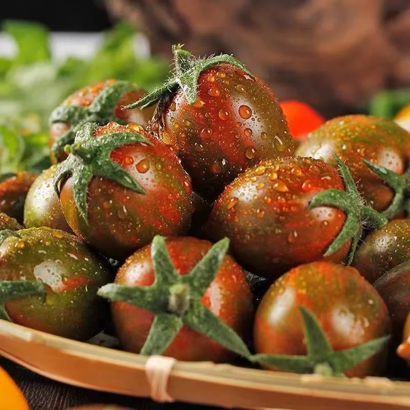 
Wholesale Chinese Semi-determinate Cherry Tomato Seed For Planting 