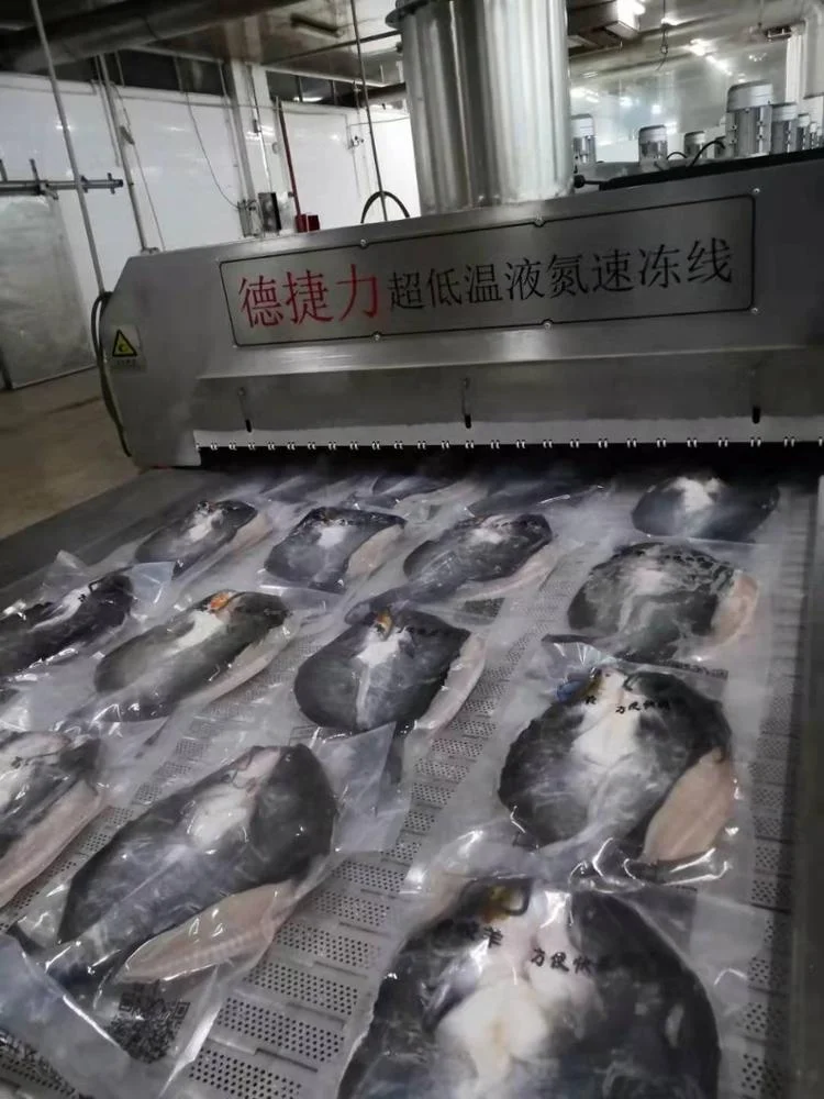 DJL china made liquid nitrogen tunnel shock freezer Food Processing Machine Stainless Steel Belt IQF Tunnel Freezer