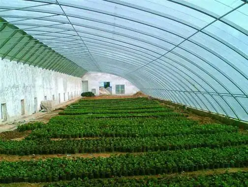 
low cost passive solar greenhouse 