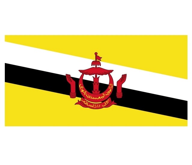 3 X 5 Polyester Brunei  Myanmar Laos  Cambodia Philippines East Timor Malaysia custom size National  Flag