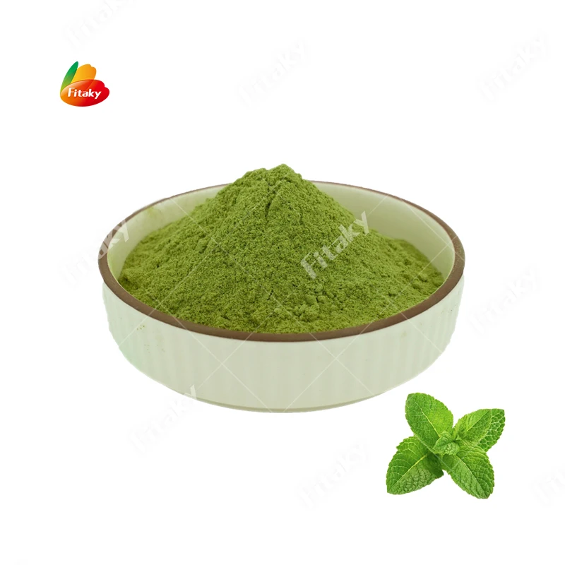 Good Quality Mint Extract Powder Mint Leaf Extract Mint Leaf Extract