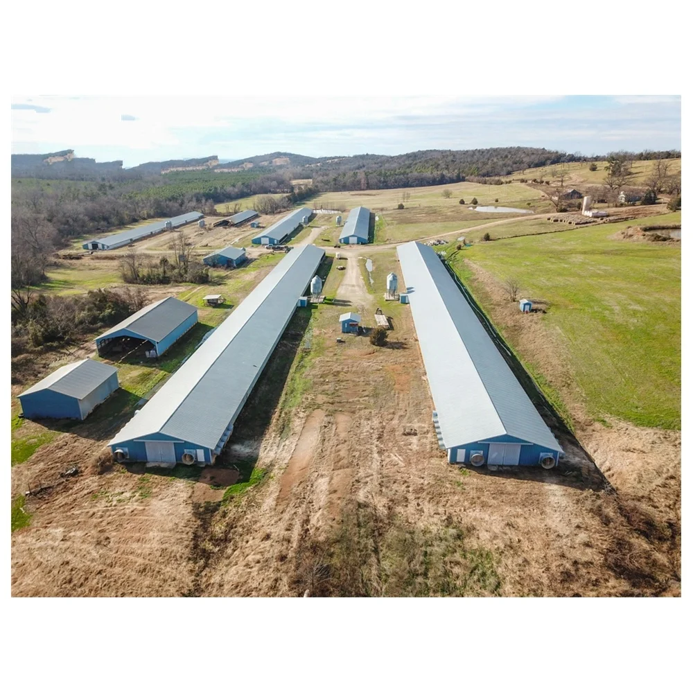 INNAER Prefab steel structure poultry farm shed chicken farm house