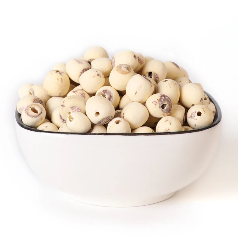 Seedless white lotus seeds, fresh white lotus seeds / lotus seeds, dry white lotus seeds