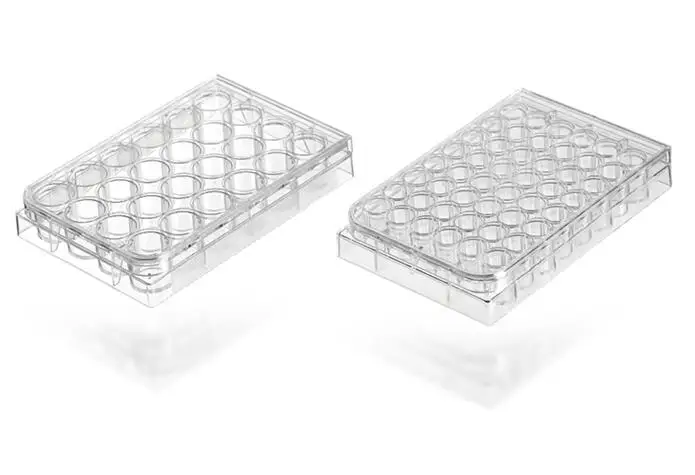 Tissue Culture Plate Different Wells Plate Cell Culture Plate