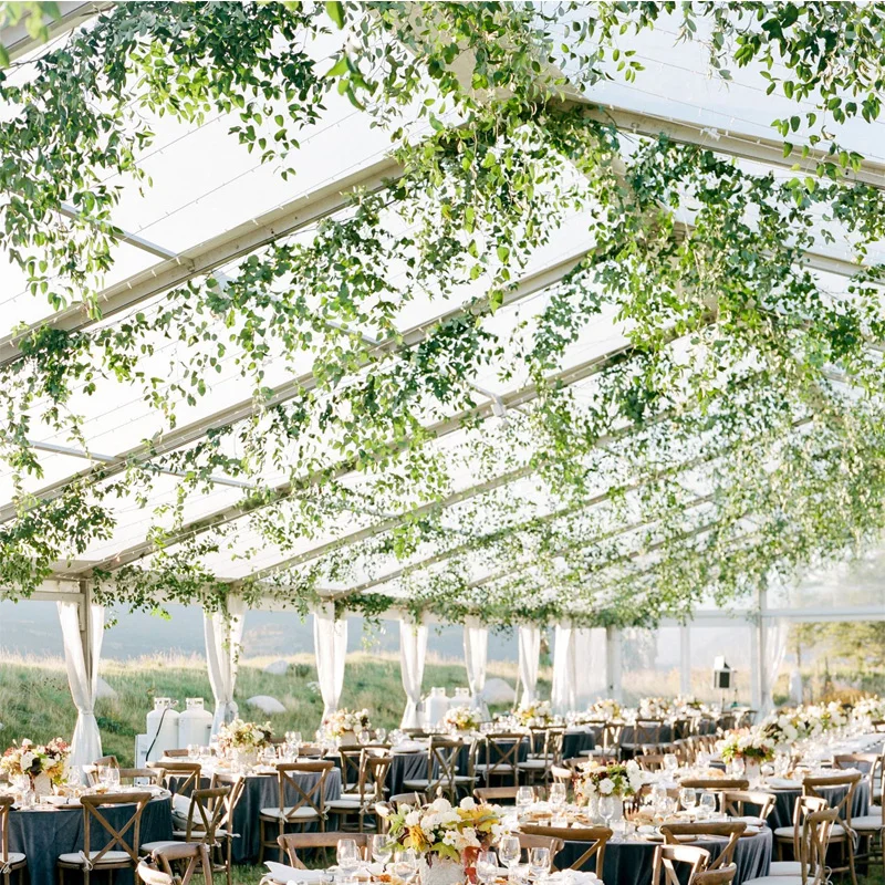 Clear top 10m x 30m 20x20m 20x30 30m x 40m 25x50 20m x 60m 10 x 30 60x40 canopi tent clear roof marquee wedding event party tent