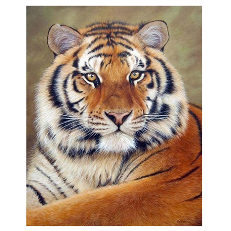 
QIQI GIRL 40x50 custom full diamond painting supplier 5D square/round animal tiger art mosaic home decor 