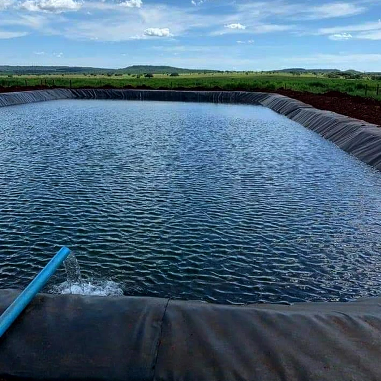 Геомембраны 2 мм геомембраны hdpe геомембрана для рыбной