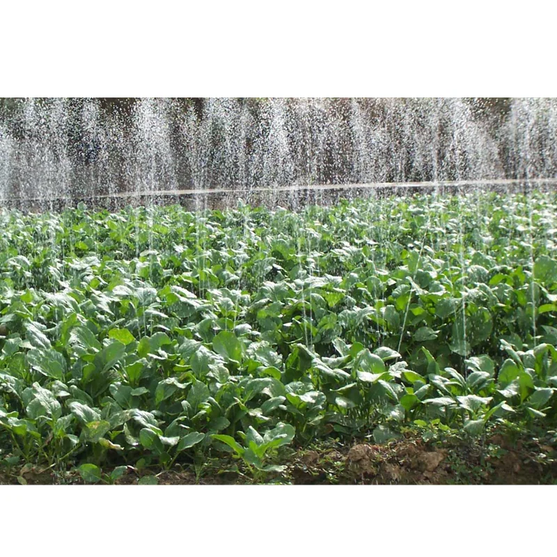 Irrigation System Rain Hose for Watering Micro Spray Belt