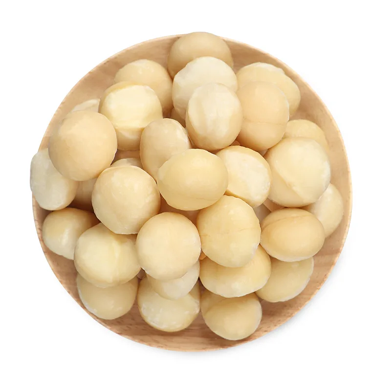 Premium Grade Macadamia Nuts Raw Roasted Nuts Healthy Food Macadamia in Shell 20-25mm