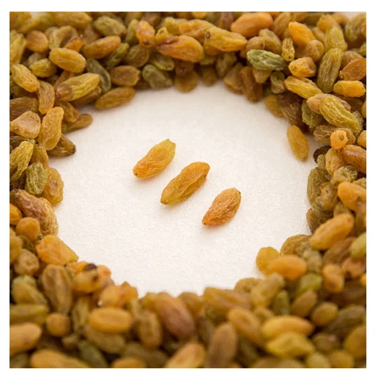 Wholesale seedless grape preserves casual snacks Pure 95% Green Raisin Origin International Popular Size Full