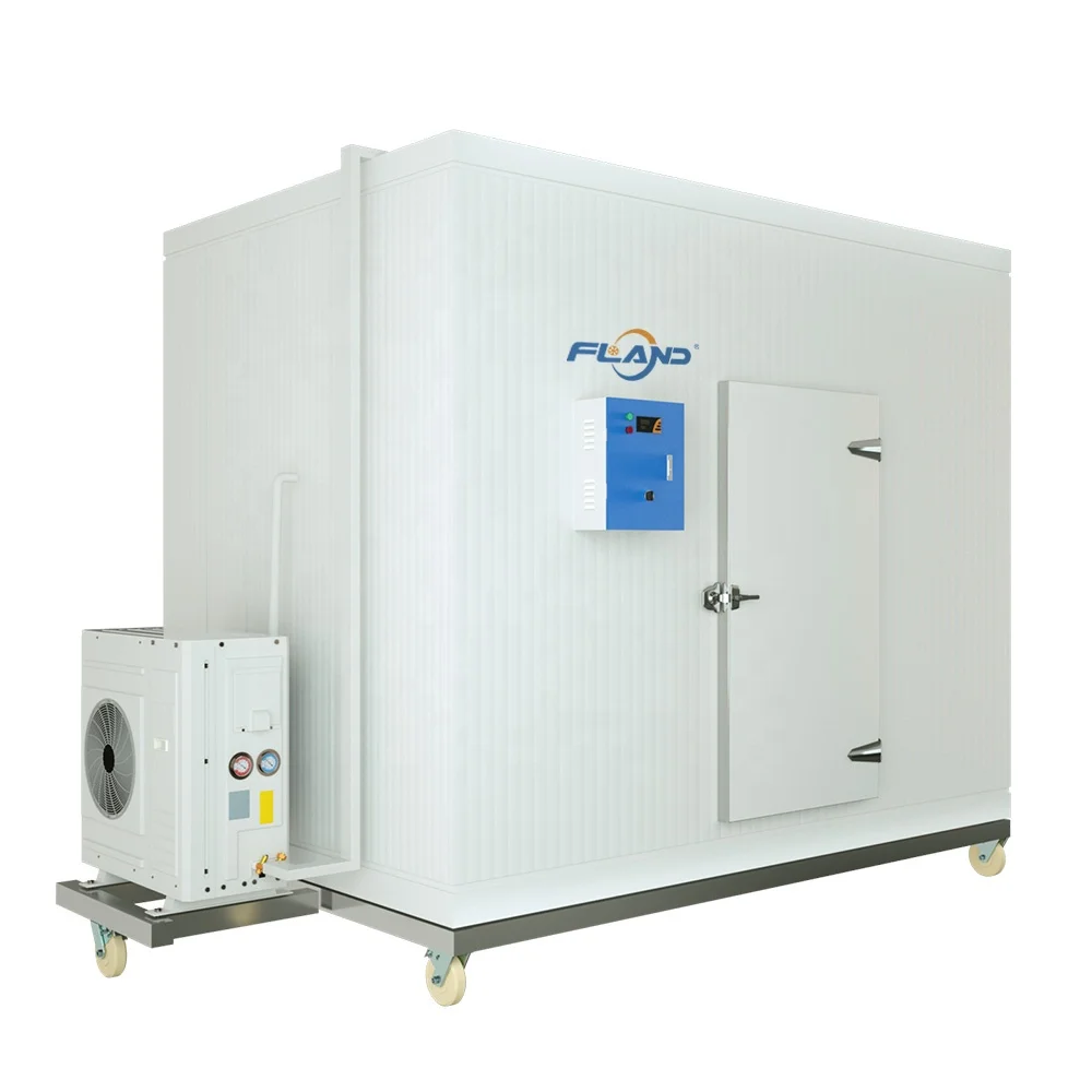 Small Walk-In Freezer Refrigeration Equipment for Frozen Storage Reliable Copeland Emerson Compressors 100mm Panel Thickness