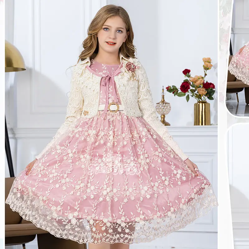 Factory Direct Sale Children Girls Beautiful Party Dresses High Fashion Girl Princess Dress