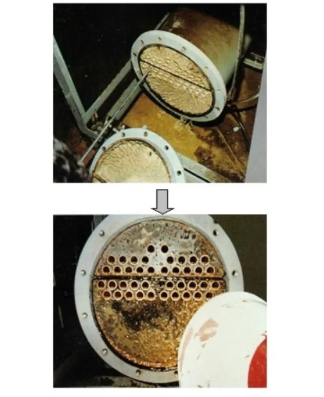 Sterilization And Disinfection Stone Sludge Processor Anti-Scale Wastewater Treatment Catalyst For Factories