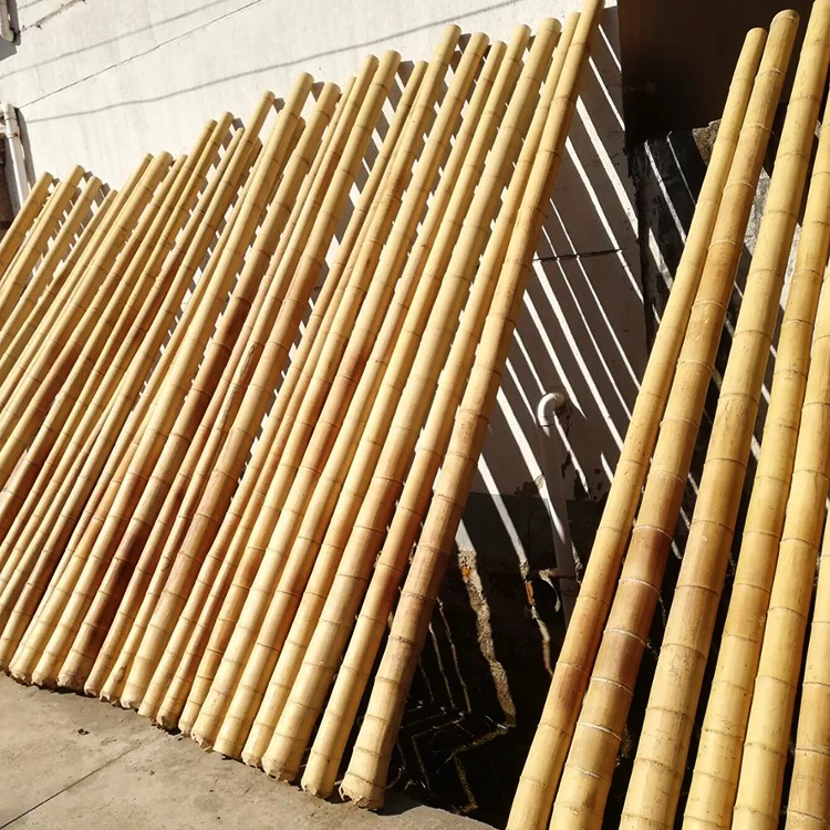 Wholesale Bamboo Poles for Construction & Building Materials High Quality Natural Strong Straight Bamboo Pole Gardening Free Tax
