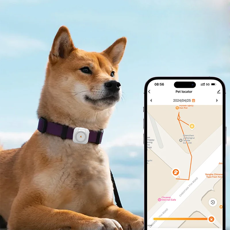 Новый продукт, идеи 2024 мини домашних животных, собака 4G, смарт-GPS-трекер, устройство Android и IOS, сим-карта с монитором здоровья, исторические следы
