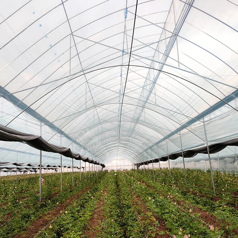 High Quality Customizable Single Tunnel Plastic Film Greenhouse Wholesale Cheap for Agriculture