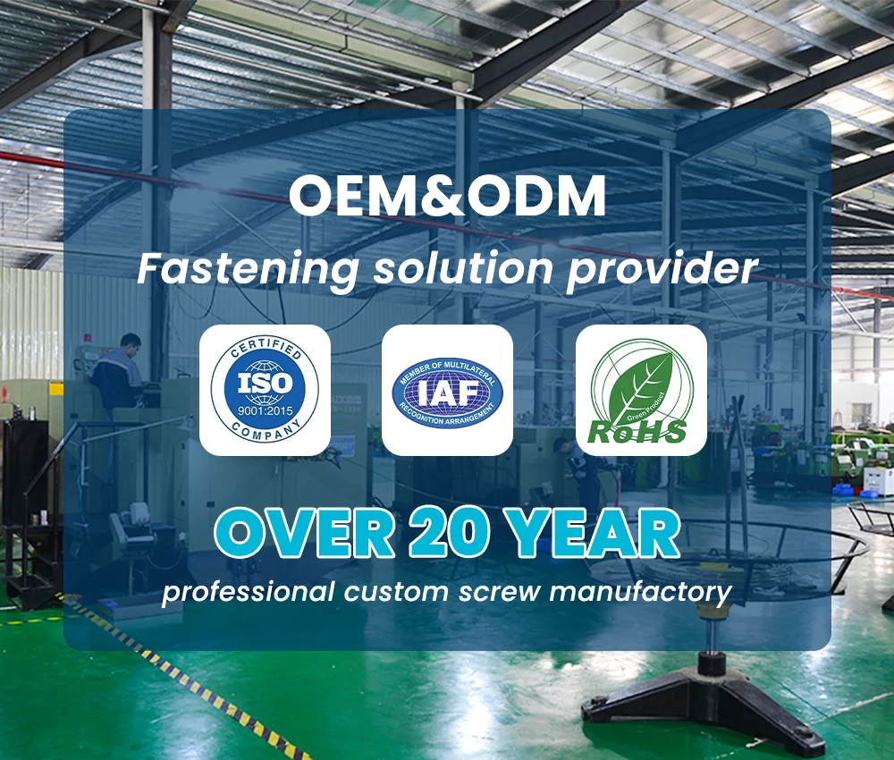 Customized Degin Brass Nickel Plating Chicago Screw for Electronics