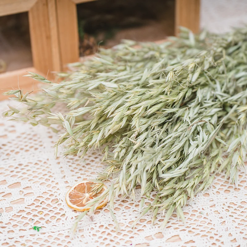 high quality Oat Flower Natural Dried Wheat Sheaves Fall Arrangement Oat Bouquet Bundle Flower for DIY Home Table