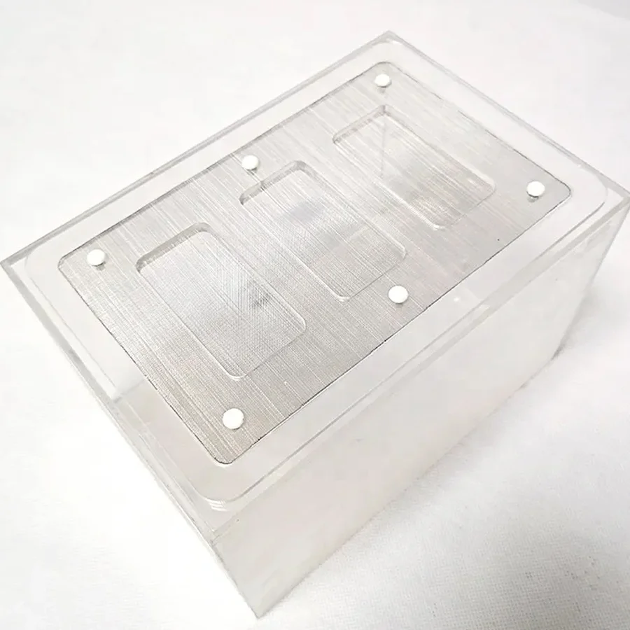 Custom transparent Acrylic Reptile Lizard Terrarium Cage Ant Feeding Box with Mesh Grid Lid for sale